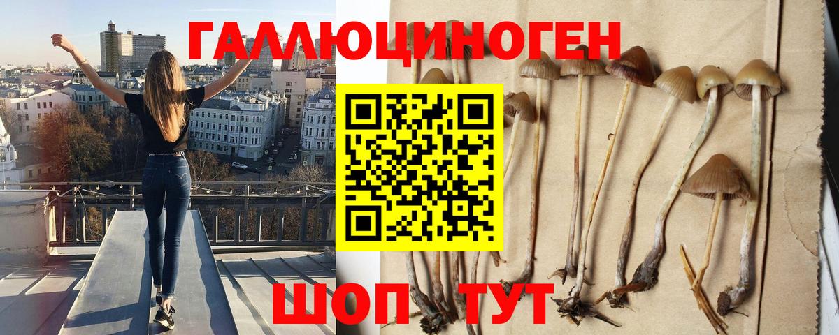 Галлюциногенные грибы GOLDEN TEACHER Калуга